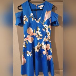 Gorgeous Ted Baker Dress! (SIZE 1 NOT 0)